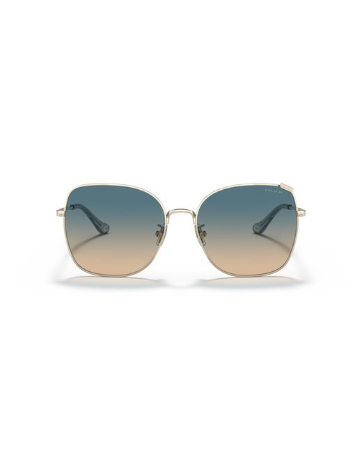COACH Black Hc7133 Sunglasses