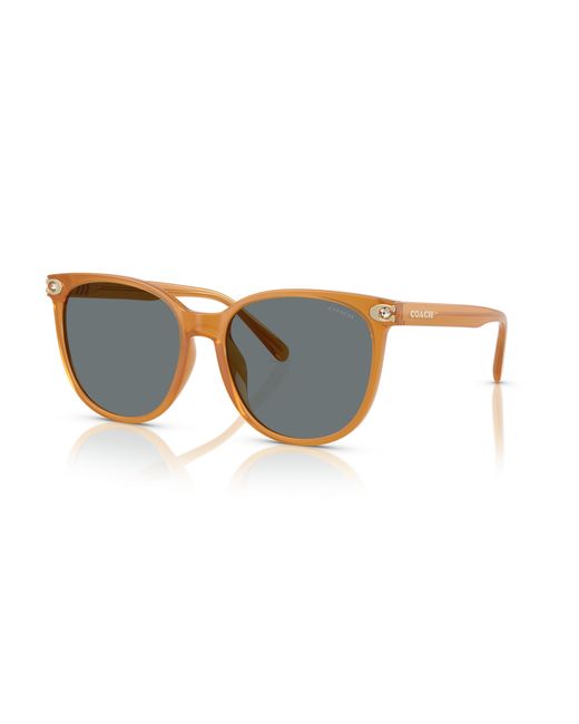 COACH Black Sunglasses Cw428