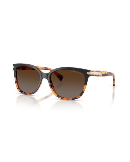 COACH Black Hc8132 Sunglasses