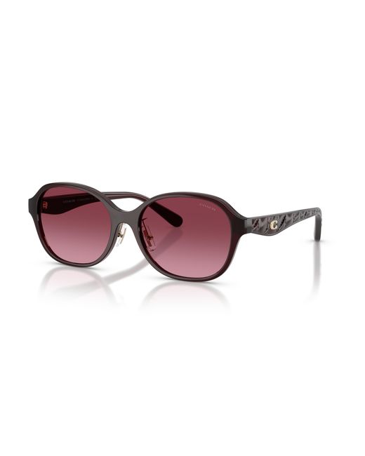 COACH Black Sunglass Cby85