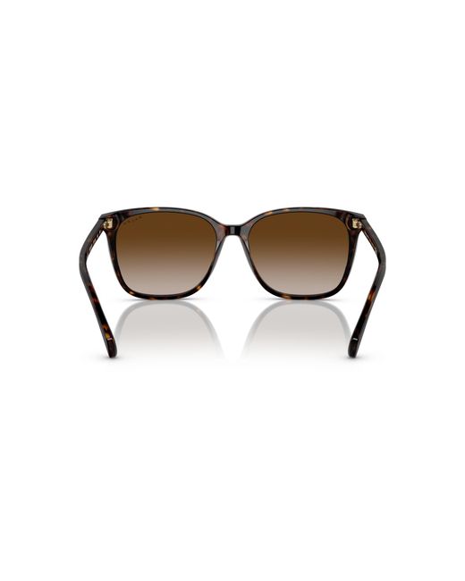 Ralph Black Sunglass Vvcv