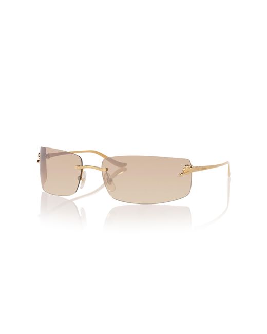 Cartier Black Sunglass Ct0503s