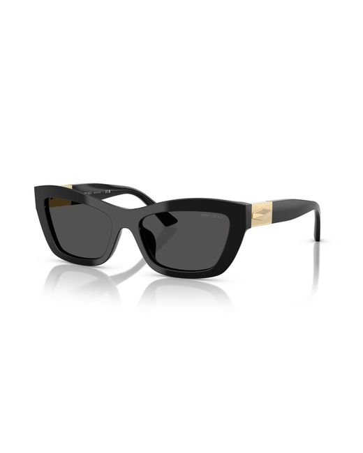 Jimmy Choo Black Sunglass Jc5030u