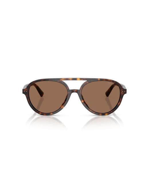 Jimmy Choo Black Sunglass Jc5055u
