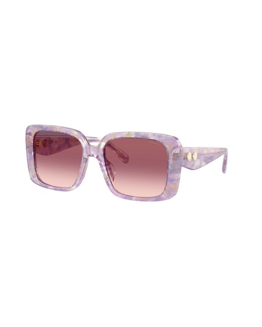 COACH Black Sunglasses Cad55