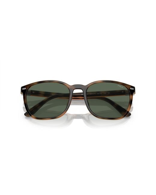Polo Ralph Lauren Black Sunglass Ph4208u for men