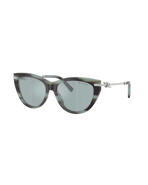 Tiffany & Co Black Sunglass Tf4253