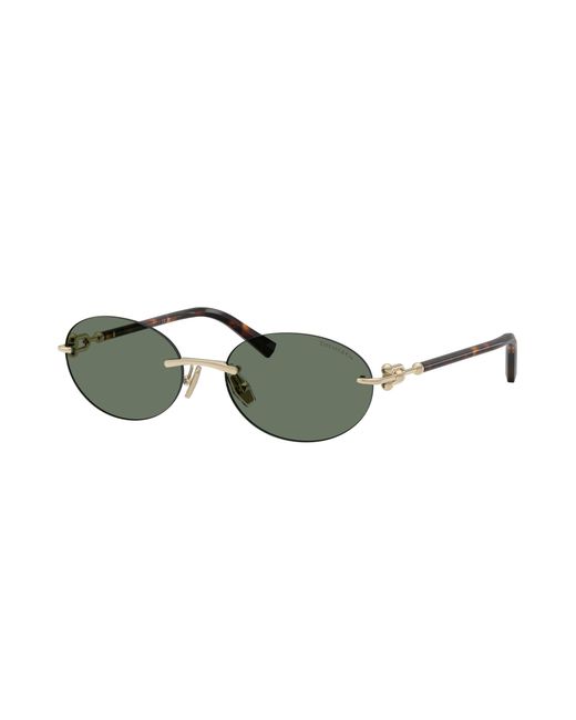 Tiffany & Co Black Sunglasses Tf3104D
