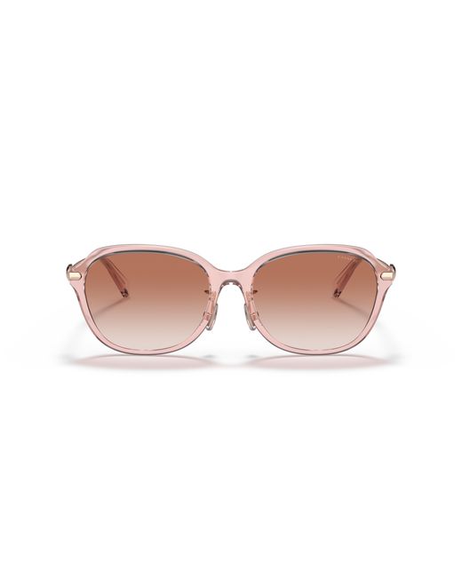 COACH Black Sunglass C6199