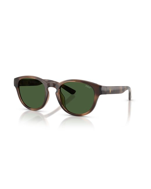 Polo Ralph Lauren Green Sunglass Ph4233u for men