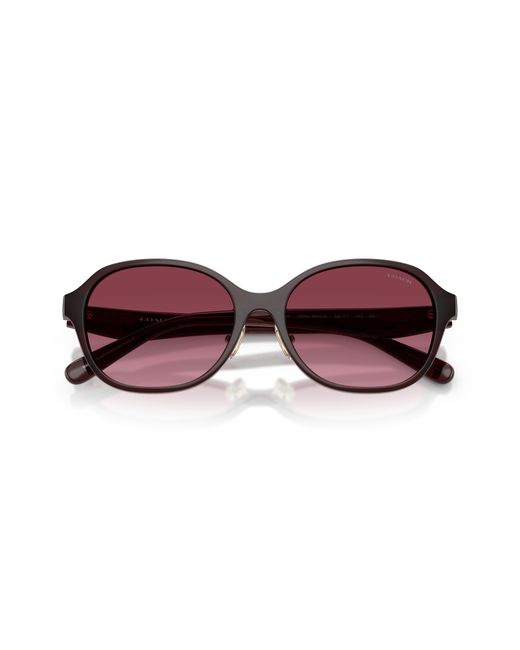 COACH Black Sunglass Cby85