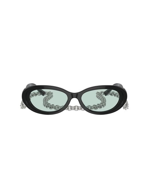Tiffany & Co Black Sunglass Tf4221