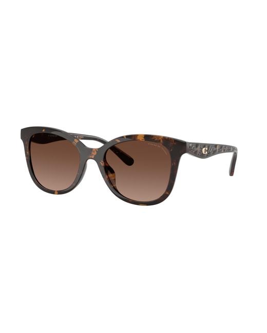 COACH Black Sunglass Hc8419u Cad25