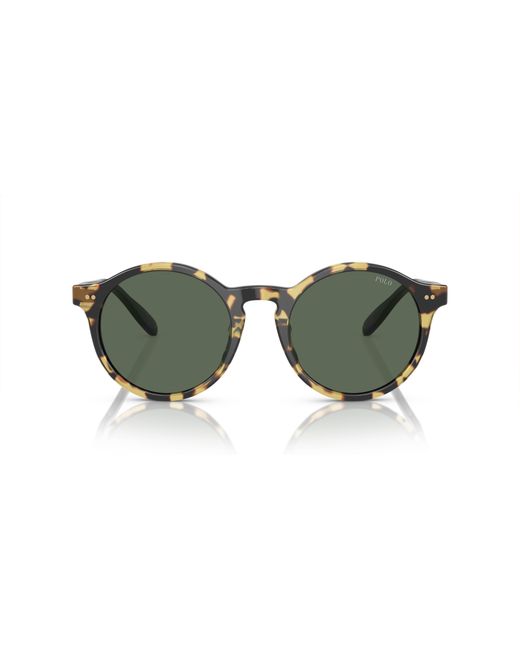Polo Ralph Lauren Green Sunglass Ph4204u for men