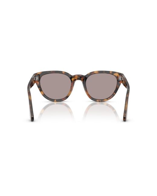 Persol Black Sunglass Po3379s
