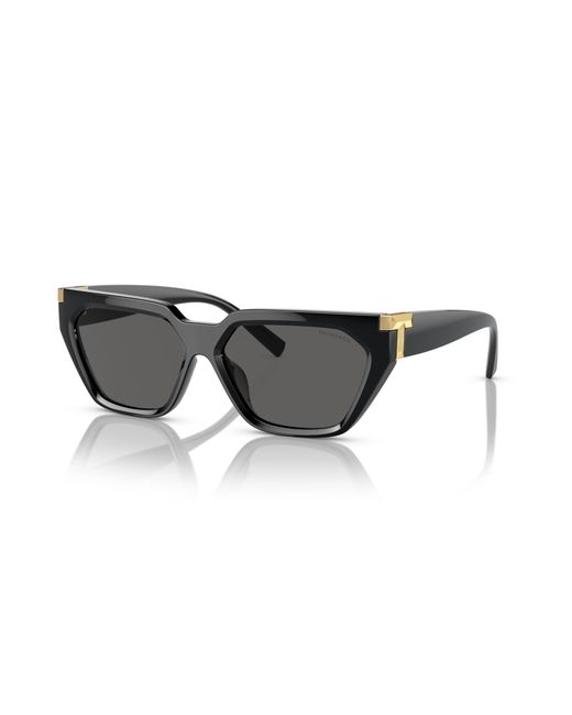 Tiffany & Co Black Sunglass Tf4205u