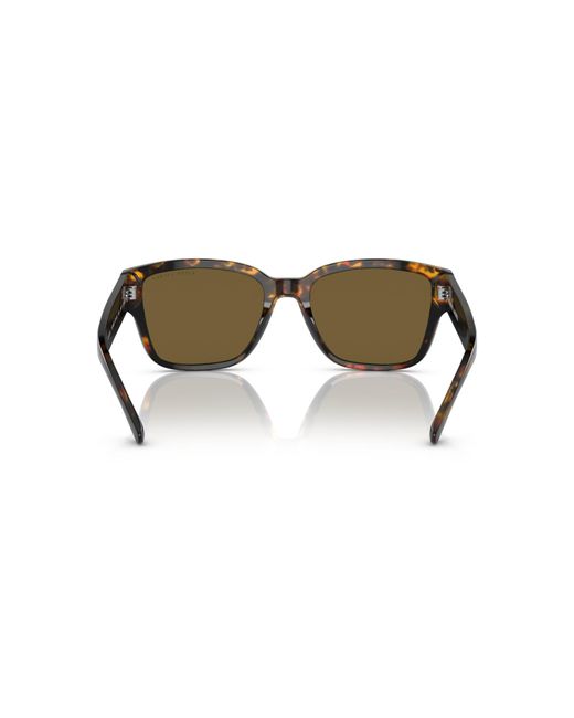 Ralph Lauren Black Sunglass The Rl 50 for men