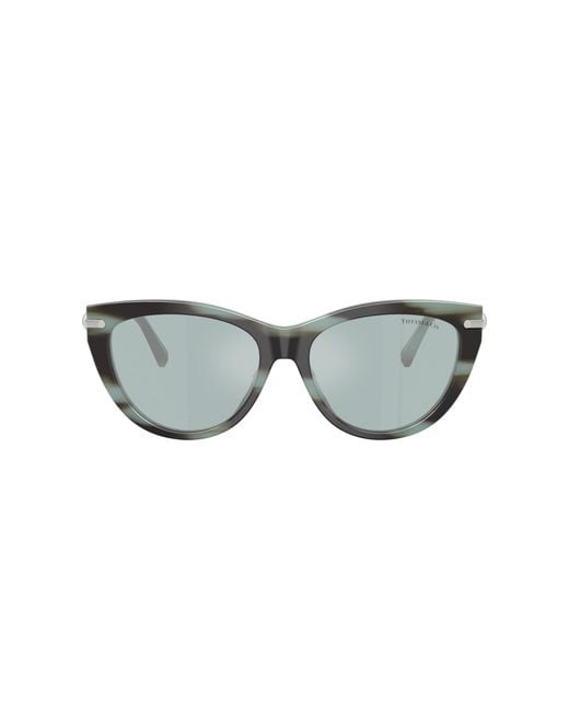 Tiffany & Co Black Sunglass Tf4253