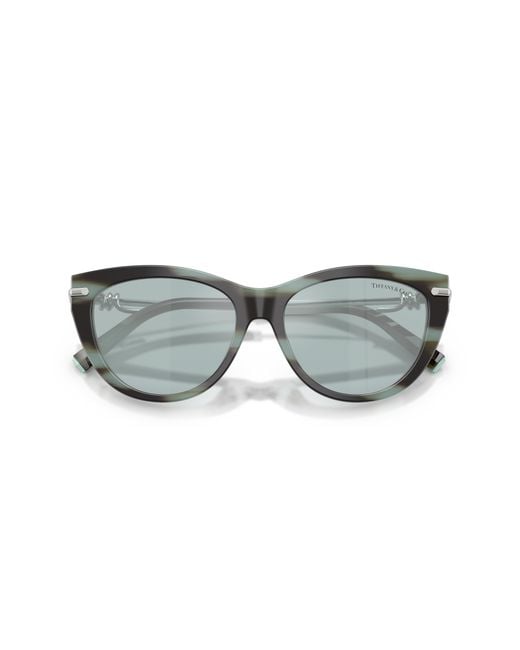 Tiffany & Co Black Sunglass Tf4253