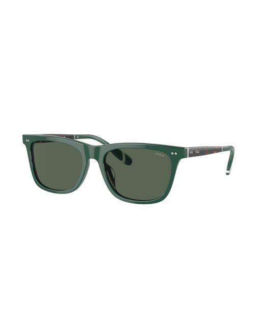 Polo Ralph Lauren Green Sunglasses Ph4205u for men