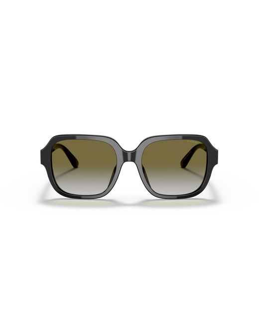 COACH Black Hc8335u Universal Fit Sunglasses