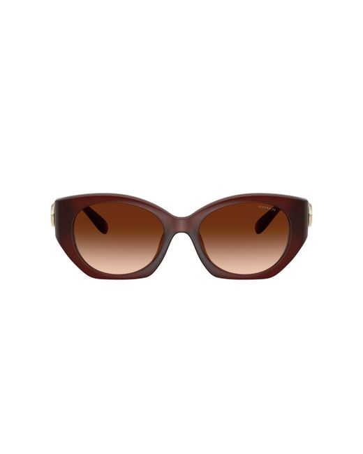 COACH Black Sunglass Cw194