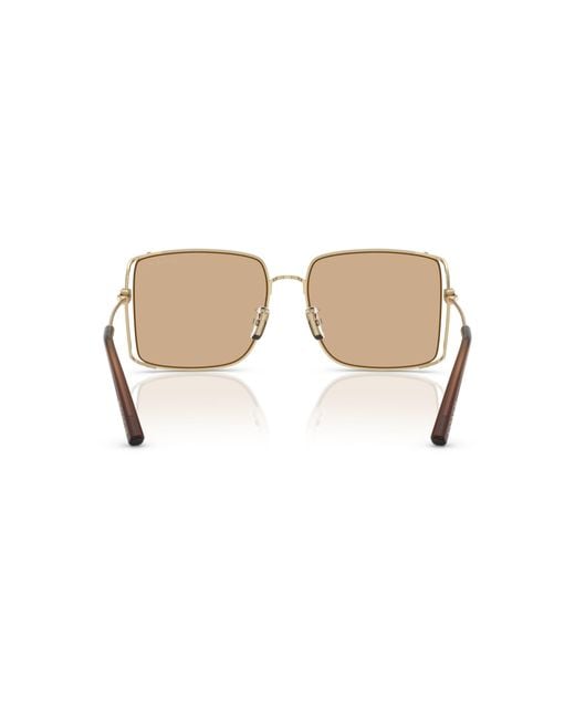 COACH Black Sunglass Cw429