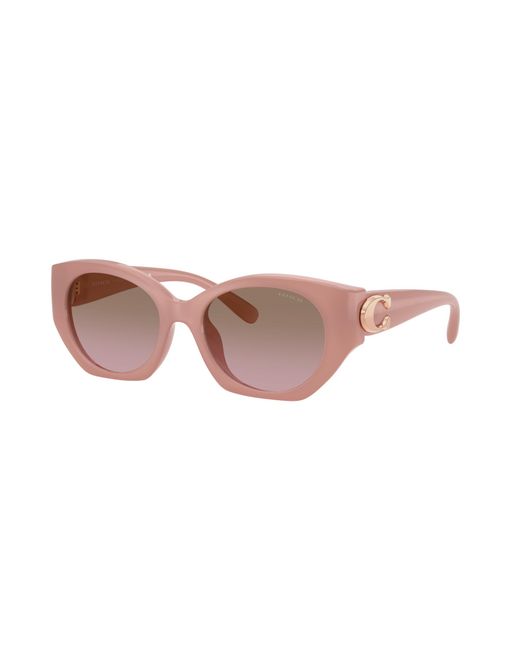 COACH Black Sunglass Cw194