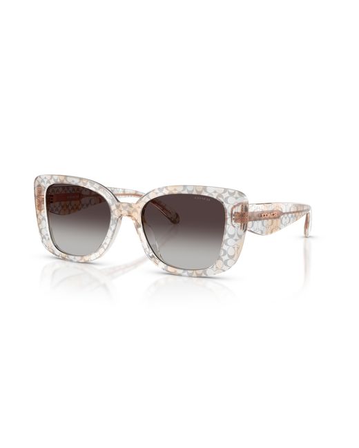 COACH Black Sunglass Cdp48