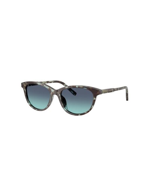 Dolce & Gabbana Black Sunglass Dx4010