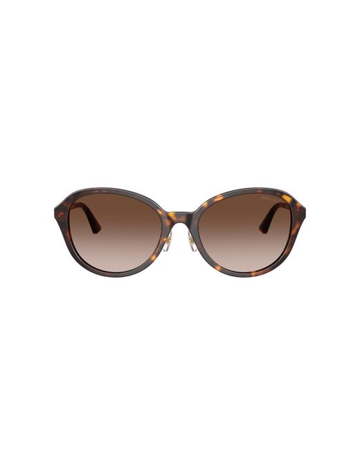 Jimmy Choo Black Sunglass Jc5044d