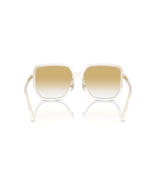 COACH Black Sunglass Cr635