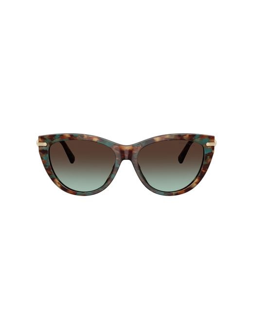 Tiffany & Co Black Sunglasses Tf4253