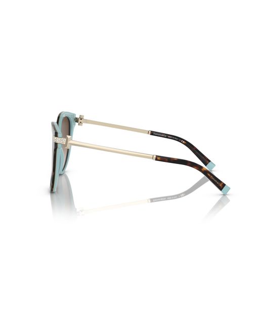 Tiffany & Co Black Sunglass Tf4193b