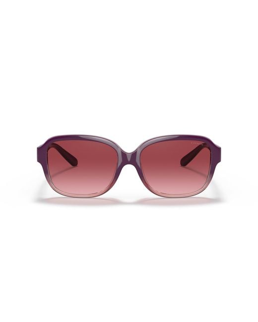 COACH Black Sunglass L1153