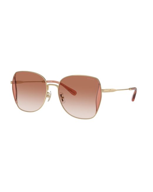 COACH Black Sunglasses Cl906