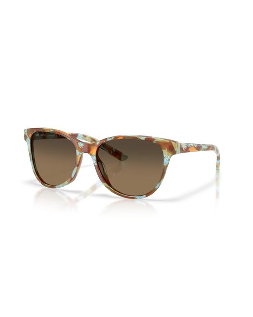 Costa Black Sunglass Catherine