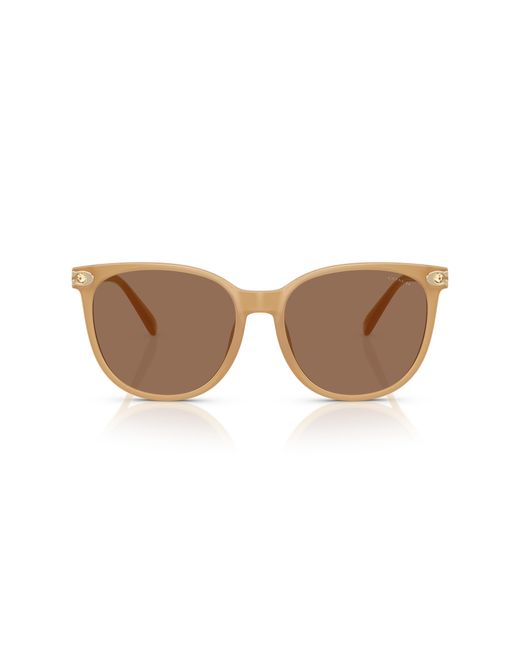 COACH Black Sunglass Cw428