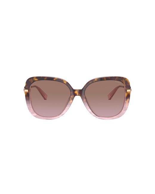 COACH Black Hc8320 Sunglasses