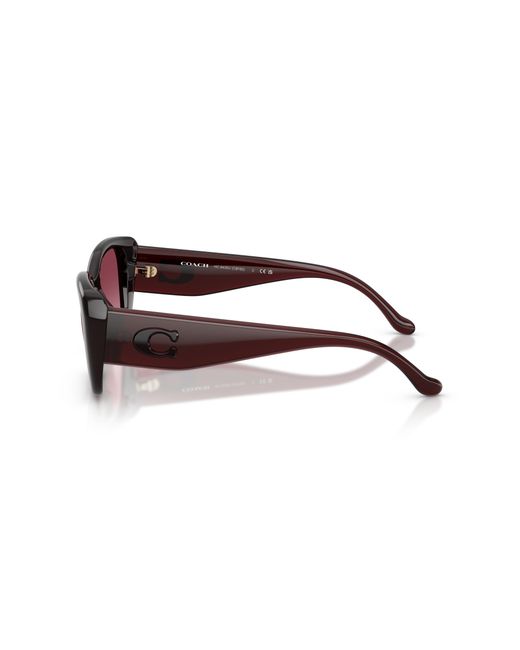COACH Black Sunglass Cby82