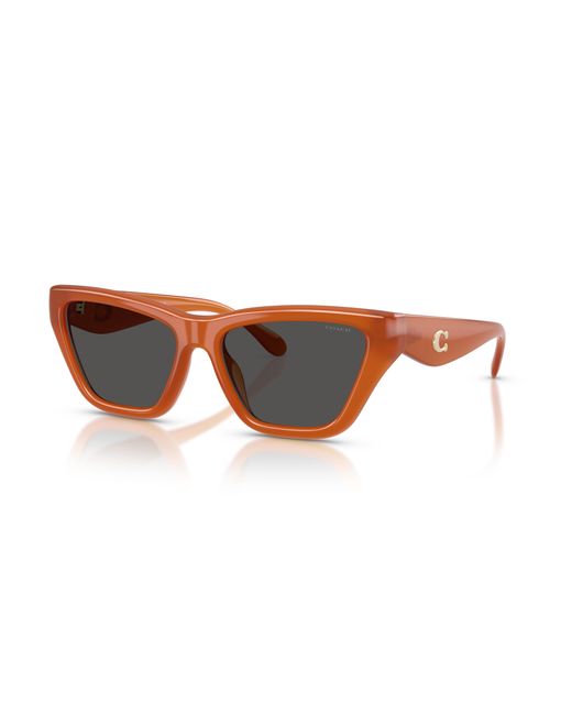 COACH Black Sunglass Cdp33