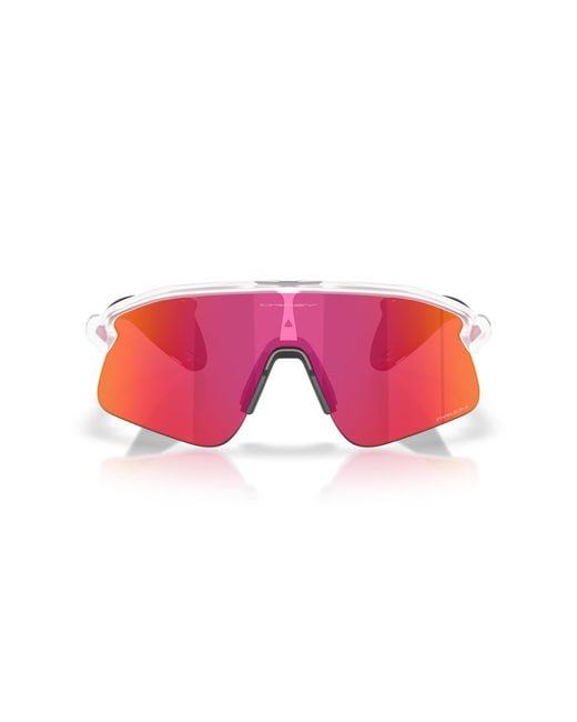 Oakley Black Sunglass Stunt Devil