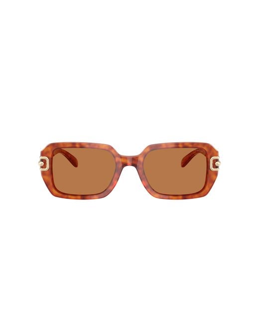 COACH Black Sunglass Hc8425u Cad74