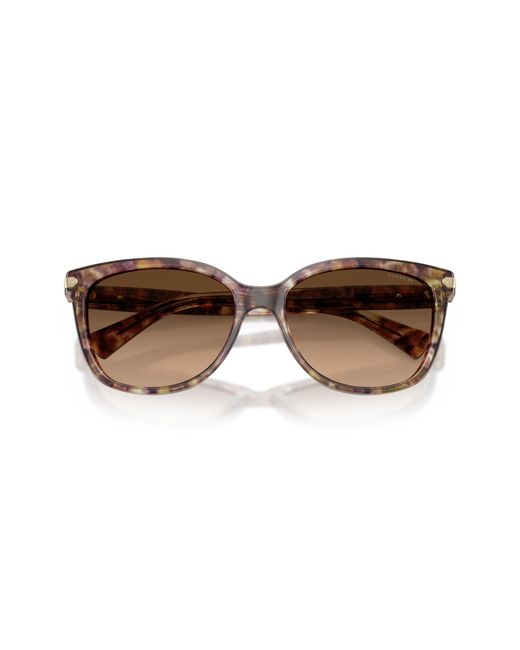COACH Black Hc8132 Sunglasses