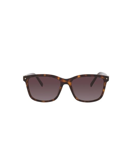 Dior Black Sunglass Petit Cd S2i