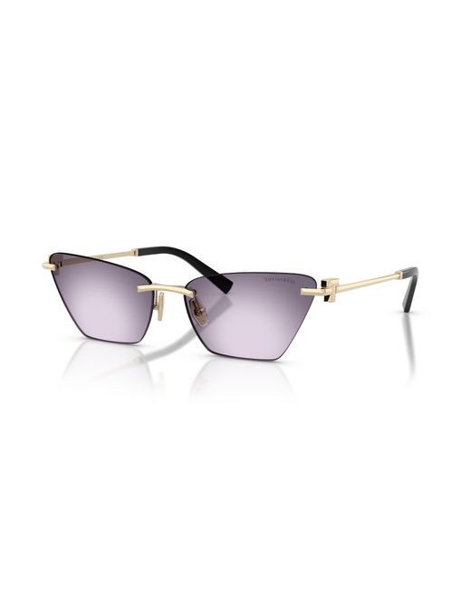 Tiffany & Co Black Sunglass Tf3120