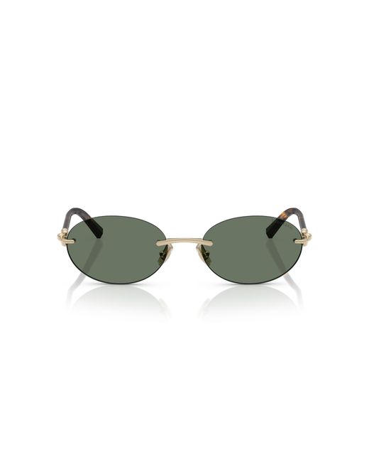 Tiffany & Co Black Sunglasses Tf3104D