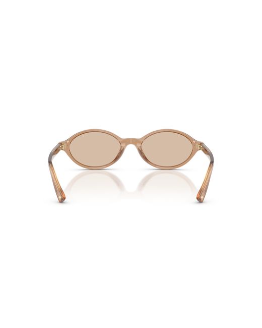 Jimmy Choo Black Sunglass Jc5068u