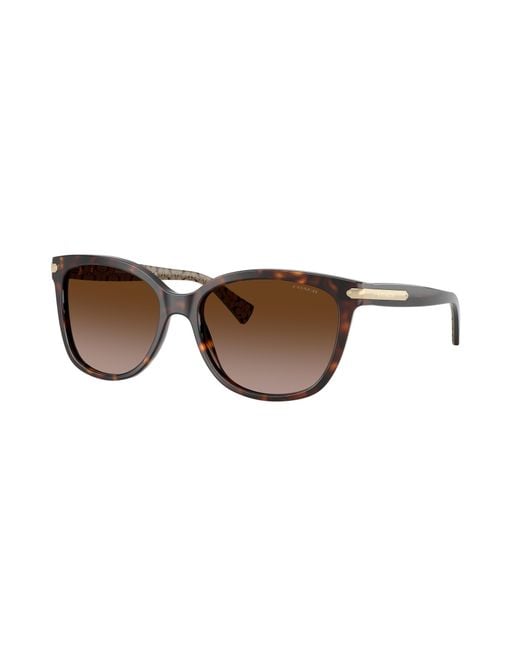 COACH Black Sunglass L109