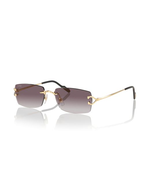 Cartier Black Sunglass Ct0550s for men